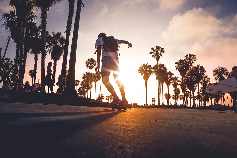 Le skateboard