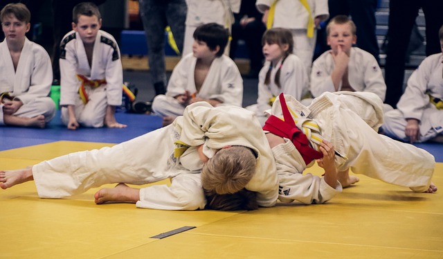 Quelle est l’importance du judo chez les enfants?